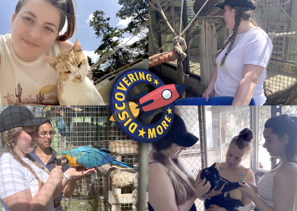 Eliza's VET project in Malta Erasmus+ Discovering More 31